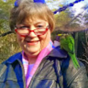 Meet your Posher, Dean